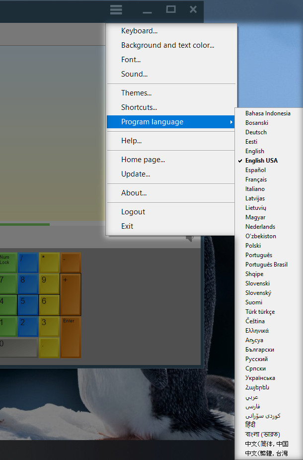 Ngôn ngữ hỗ trợ trên Rapid Typing Tutor